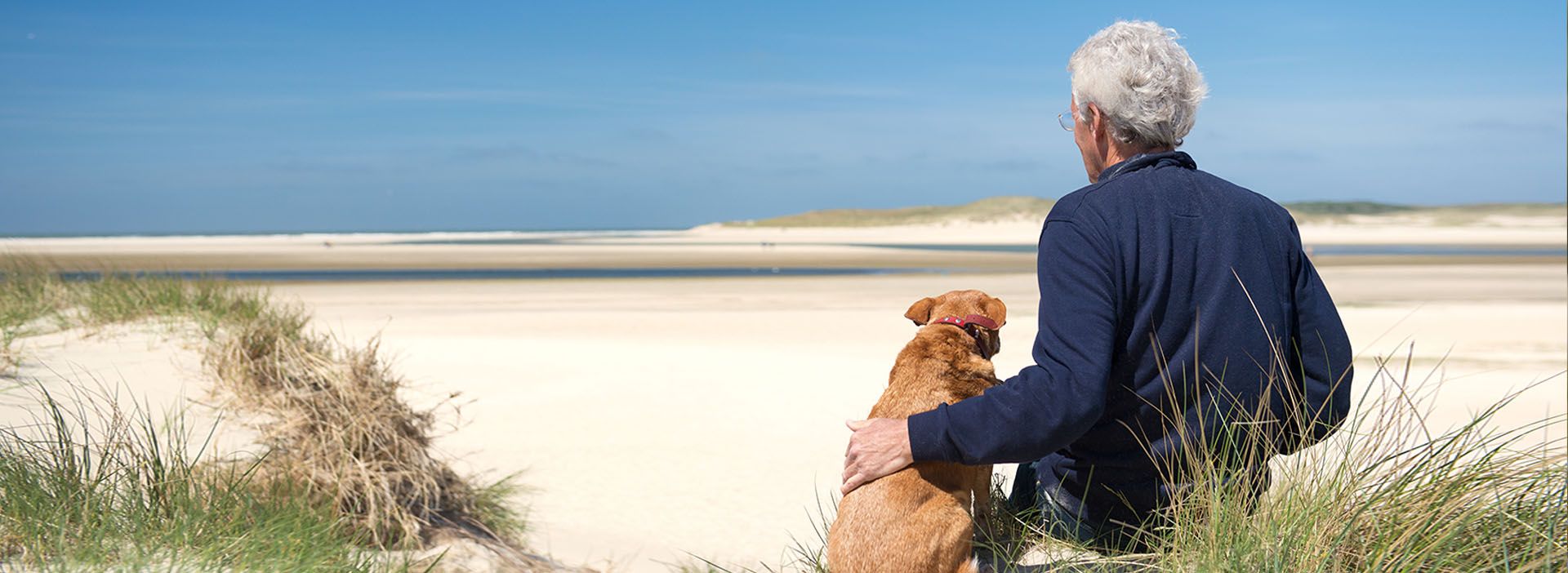 Mann und Hund sitzen am Strand und schauen aufs Meer