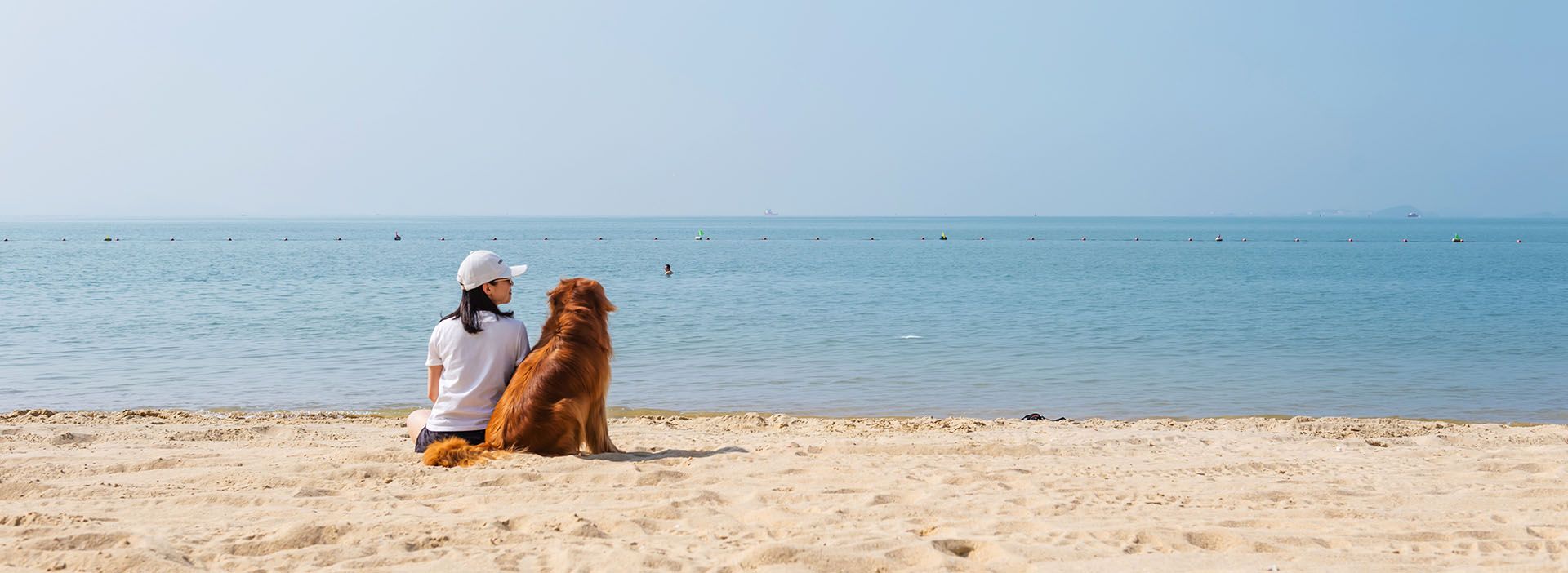 Frau und Hund sitzen am Strand und schauen aufs Meer