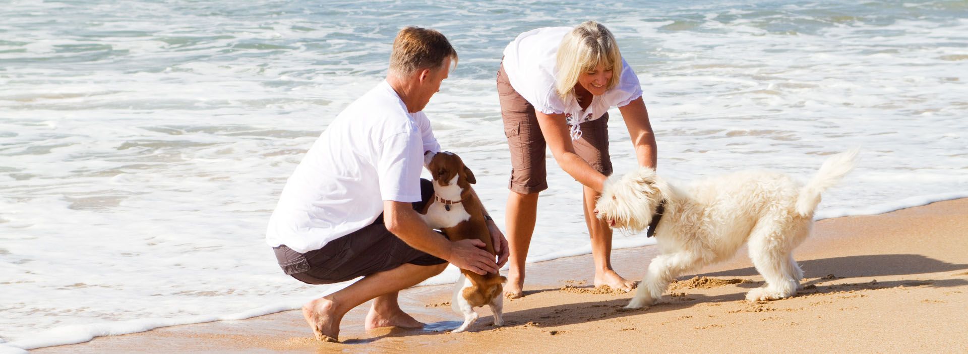 Paar tobt mit Hunden am Strand