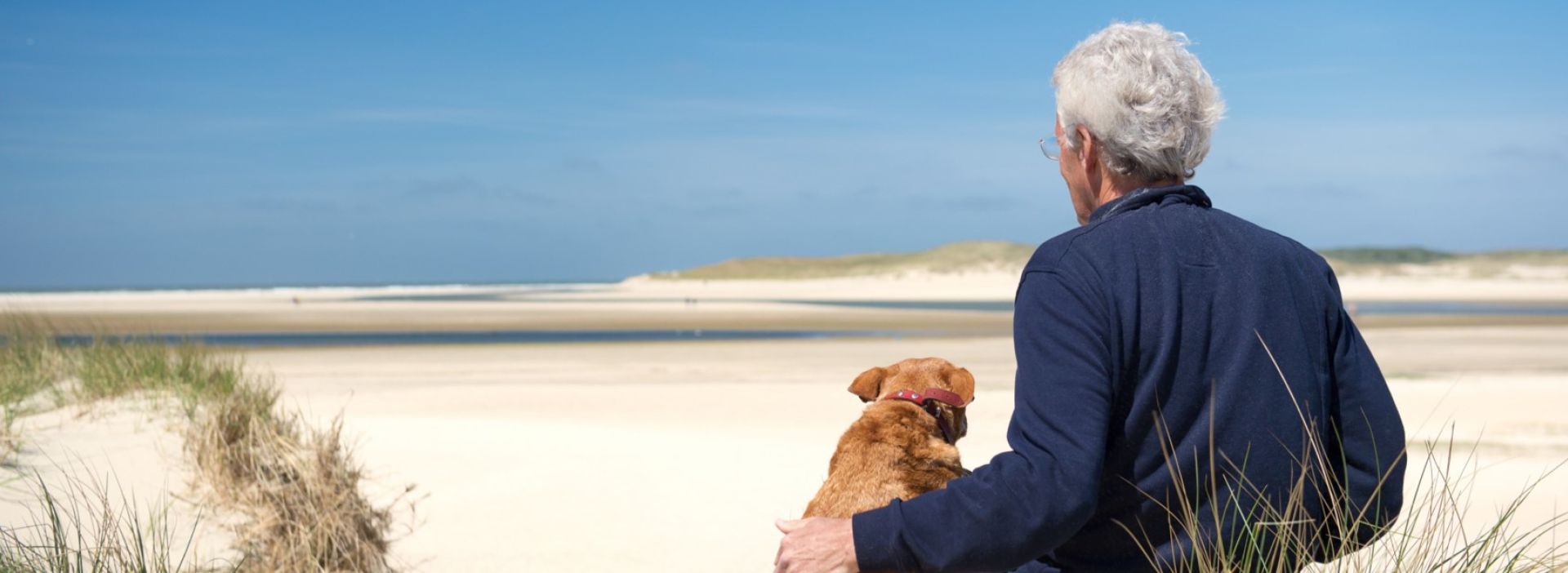 Mann und Hund sitzen am Strand und schauen aufs Meer