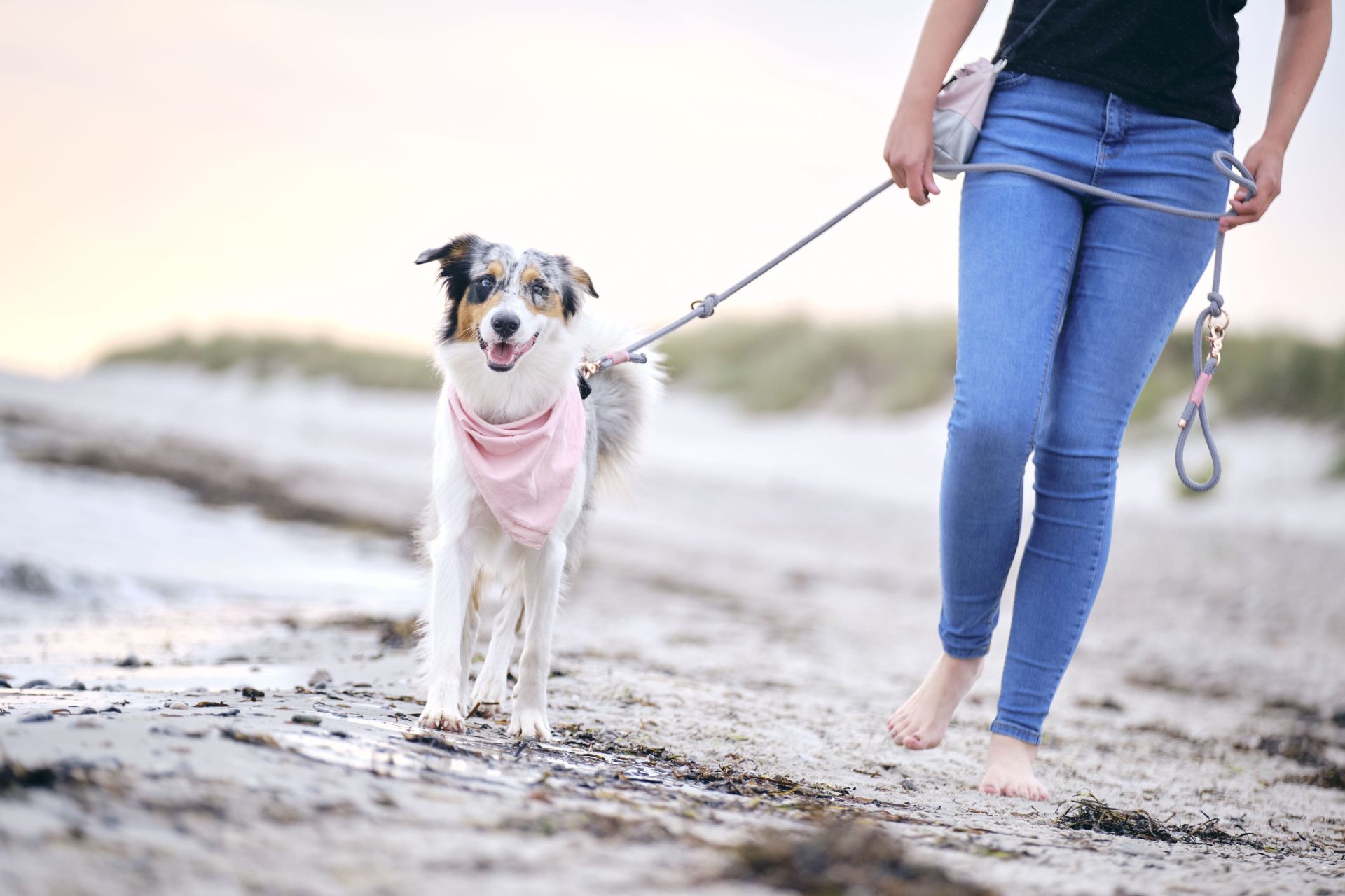 Frau mit Hund macht einen Strandspaziergang